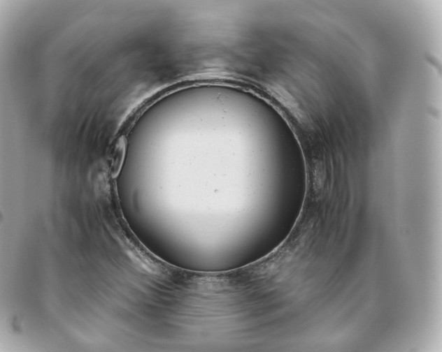 X0000095911356200802011141