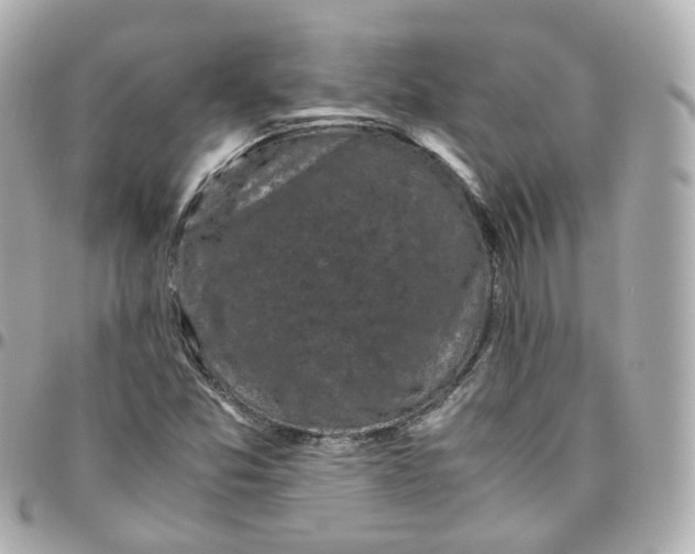 X0000095911357200802011141