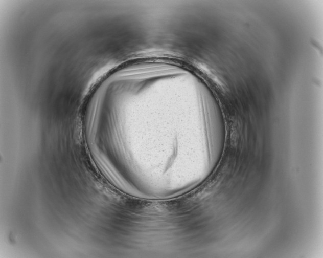 X0000095911358200802011141