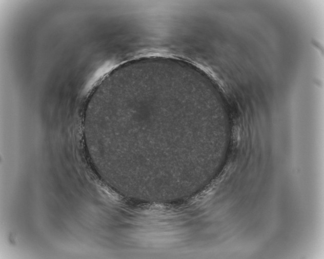 X0000095911359200802011141