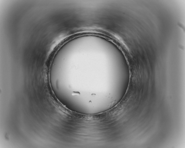 X0000095911360200802011141