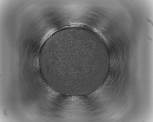 X0000095911362200802011141