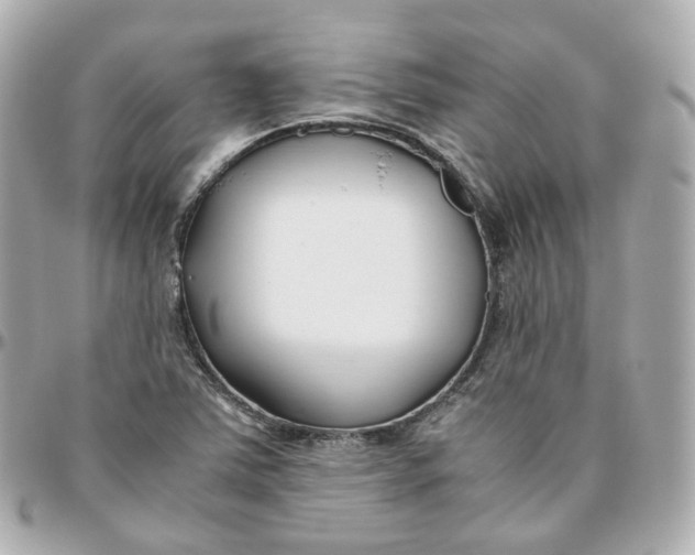 X0000095911363200802011141