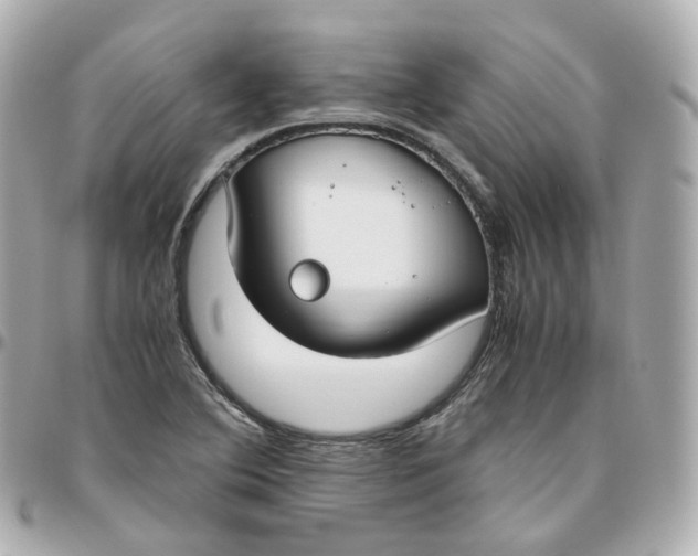 X0000095911364200802011141