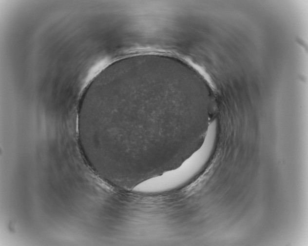 X0000095911365200802011141