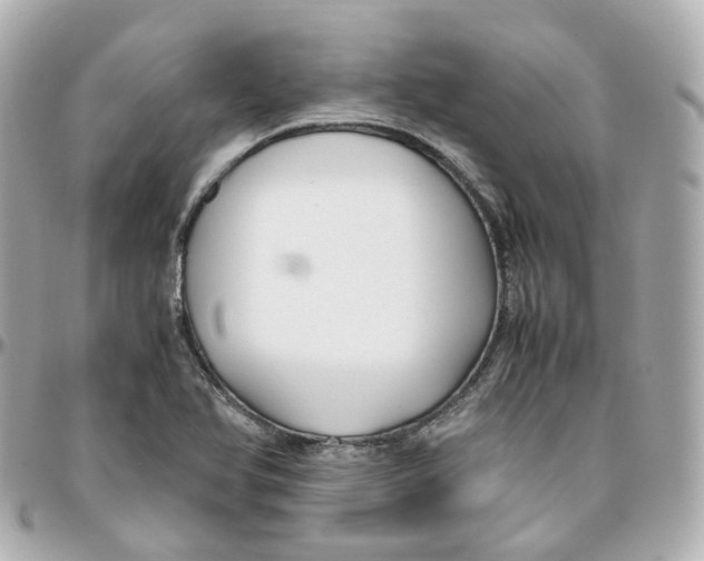 X0000095911366200802011141