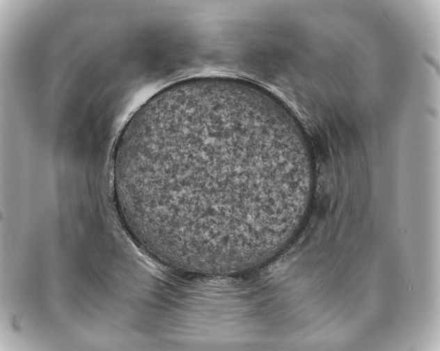 X0000095911367200802011141