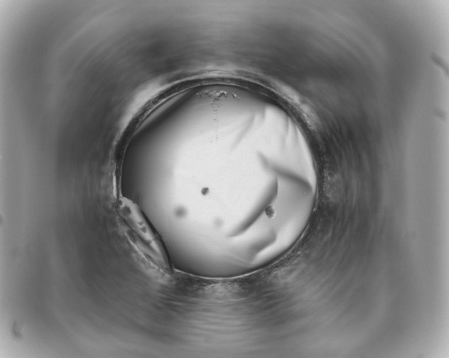 X0000095911368200802011141