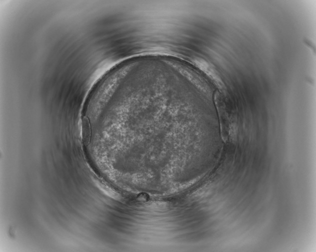 X0000095911372200802011141