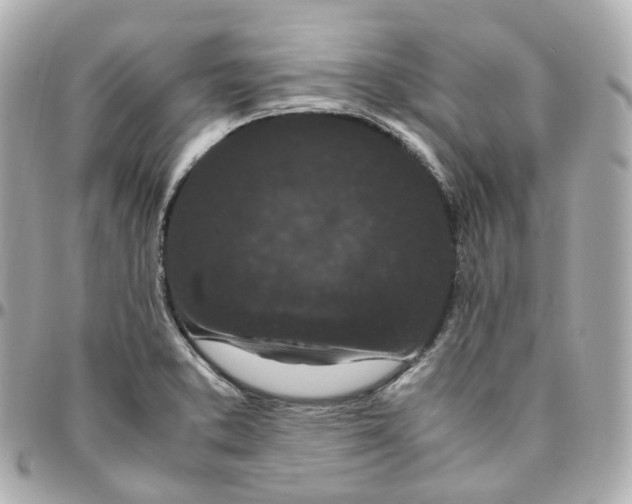 X0000095911373200802011141