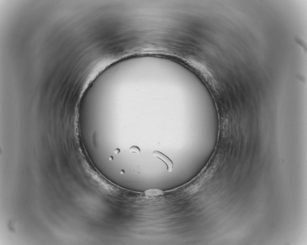 X0000095911374200802011141