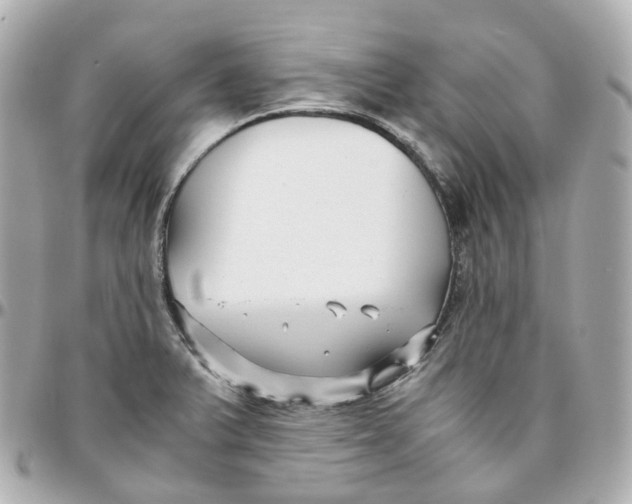 X0000095911375200802011141