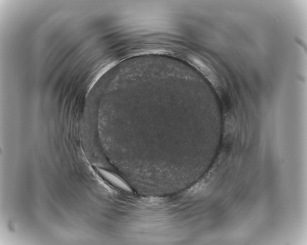 X0000095911377200802011141