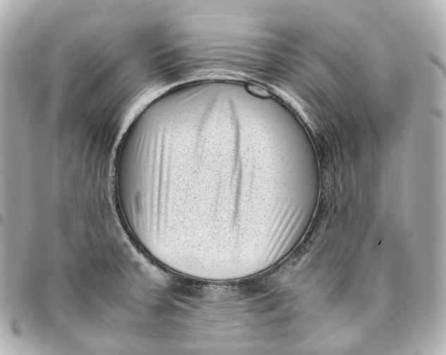 X0000095911379200802011141