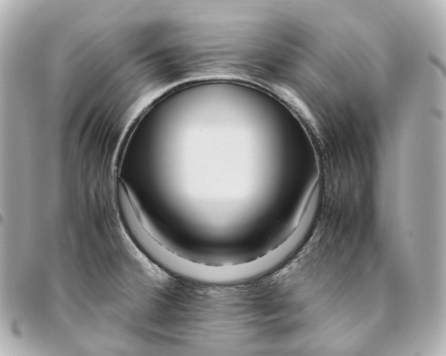 X0000095911380200802011141