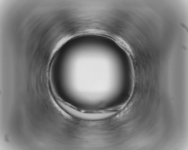 X0000095911381200802011141