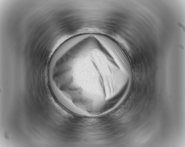 X0000095911382200802011141