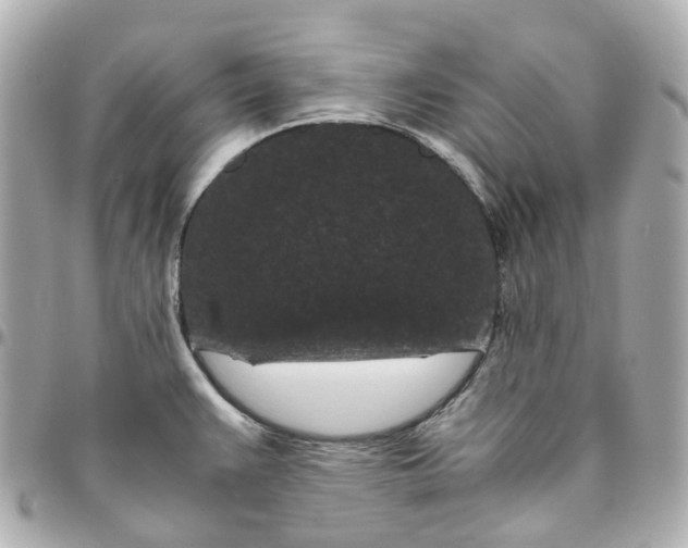 X0000095911383200802011141