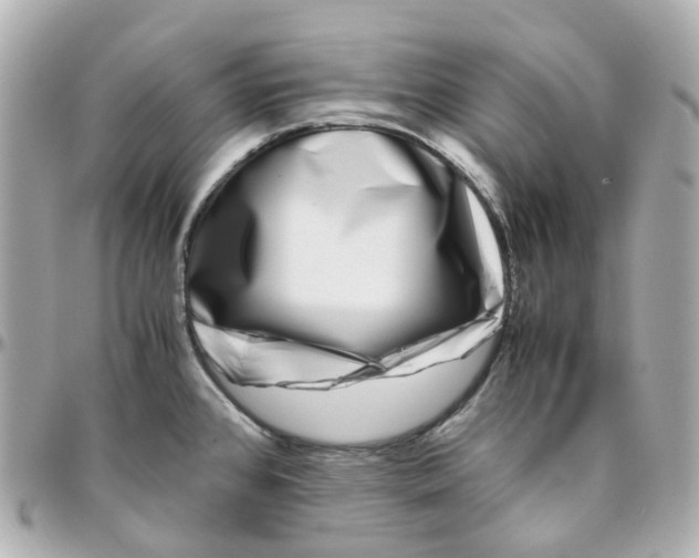 X0000095911384200802011141