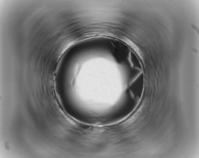 X0000095911385200802011141