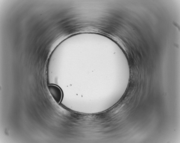 X0000095911387200802011141