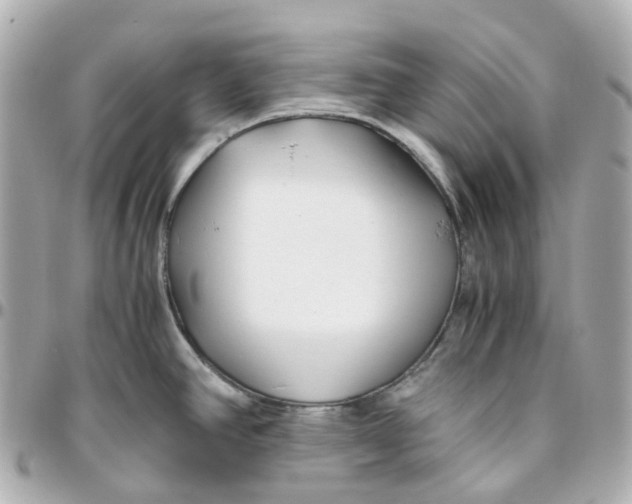 X0000095911390200802011141