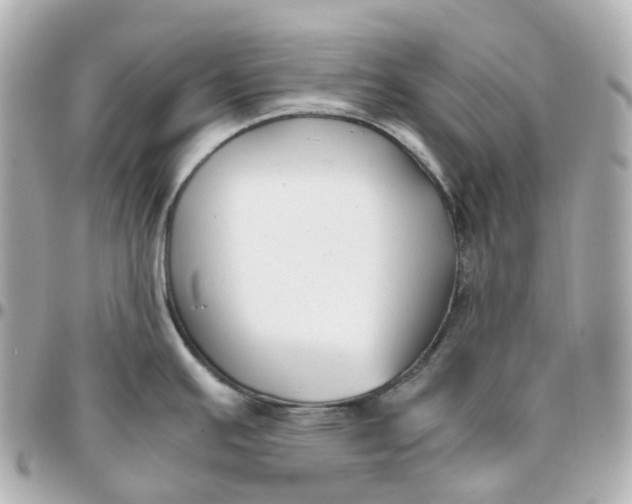 X0000095911391200802011141