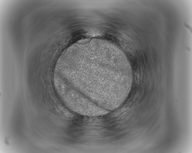 X0000095911393200802011140