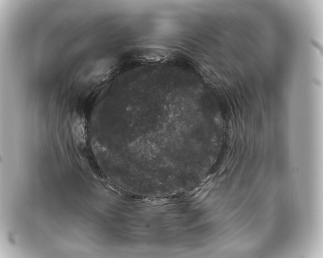 X0000095911394200802011140