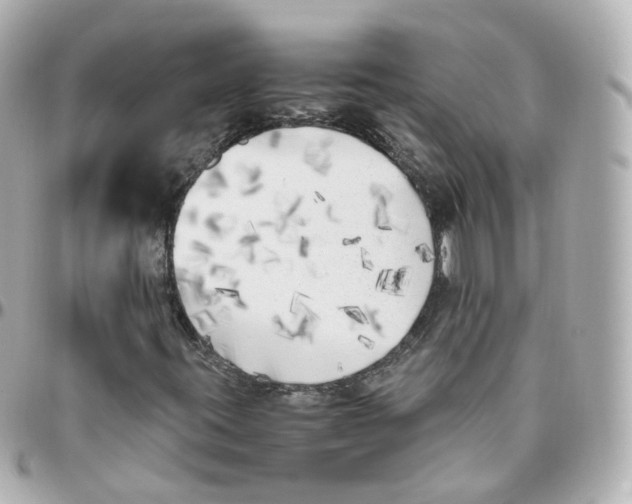 X0000095911395200802011140