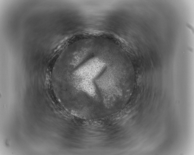 X0000095911397200802011140