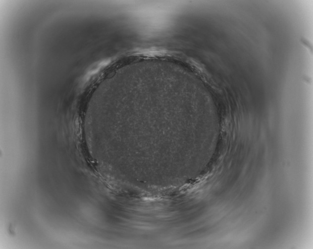 X0000095911398200802011140