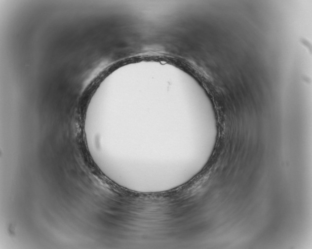 X0000095911400200802011140