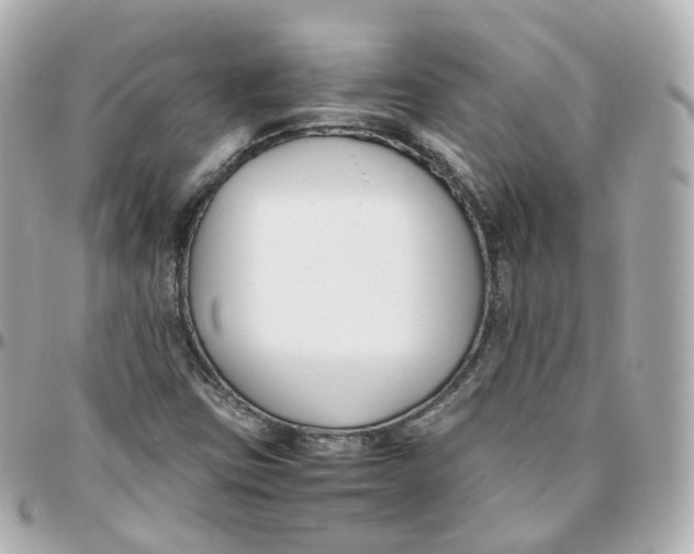 X0000095911403200802011140