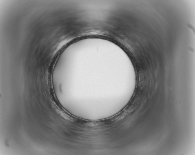 X0000095911404200802011140