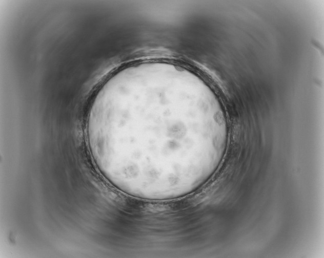 X0000095911407200802011140