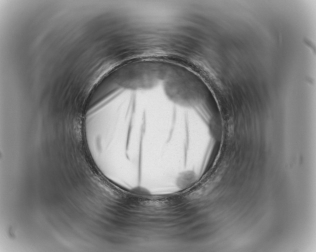 X0000095911409200802011140