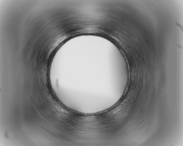 X0000095911410200802011140