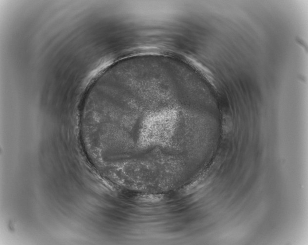 X0000095911411200802011140