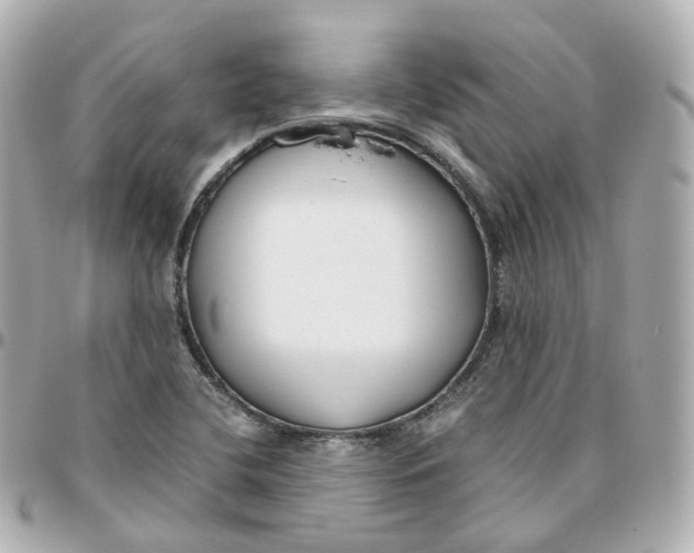 X0000095911412200802011140