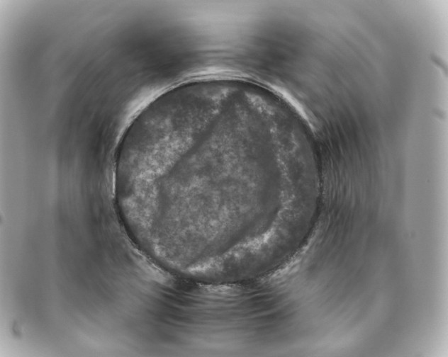 X0000095911413200802011140