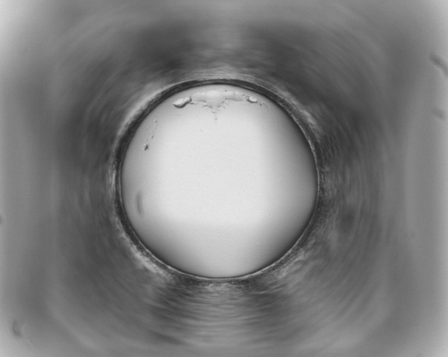 X0000095911416200802011140