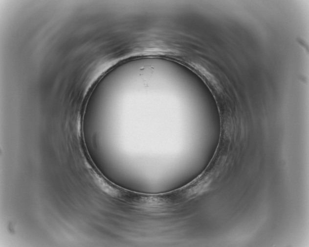 X0000095911420200802011140