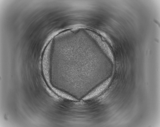 X0000095911421200802011140