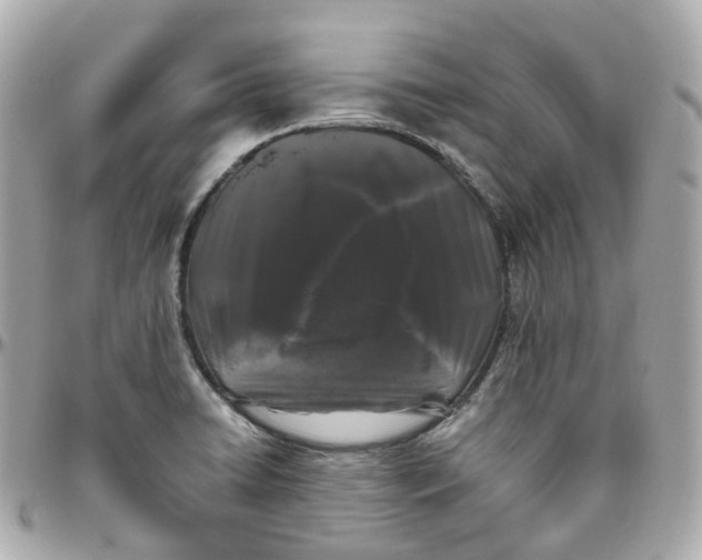 X0000095911422200802011140