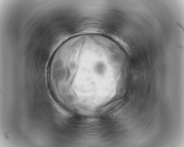 X0000095911423200802011140