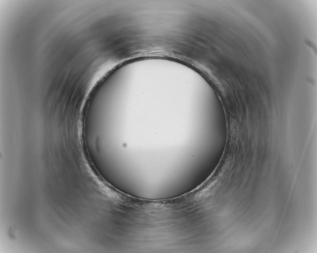 X0000095911424200802011140