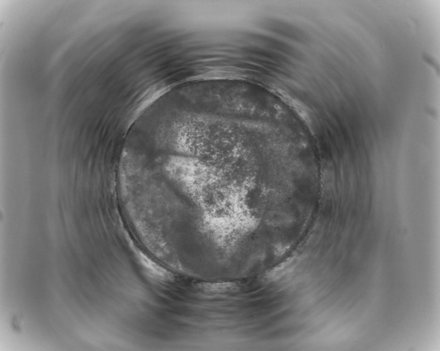 X0000095911425200802011140