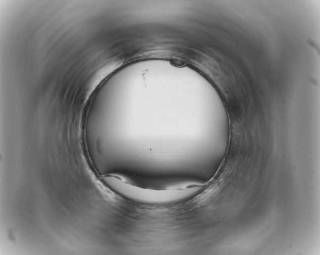 X0000095911426200802011140