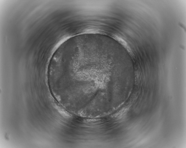 X0000095911427200802011140